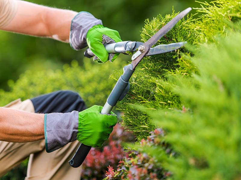 Entretien de jardin Montargis